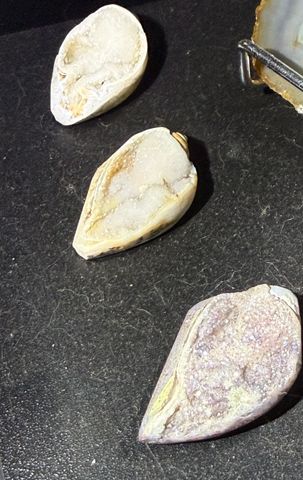 Druzy Fossil Shell