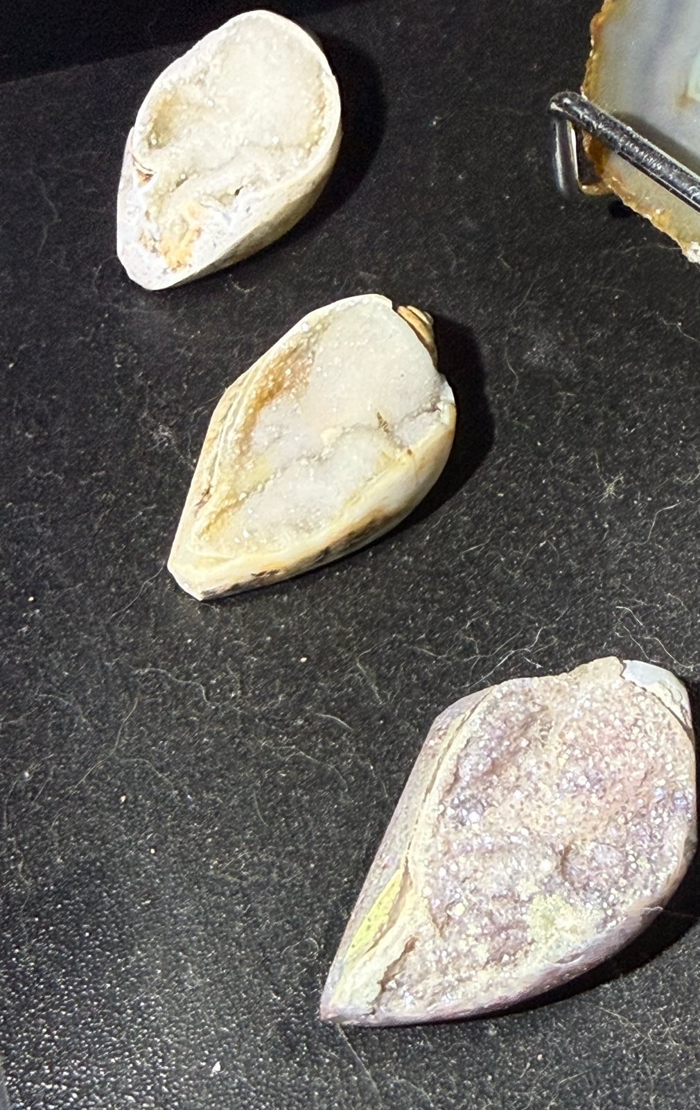 Fossil clam shells with druzy crystal linings