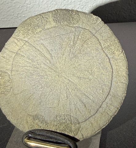 Pyrite Sun