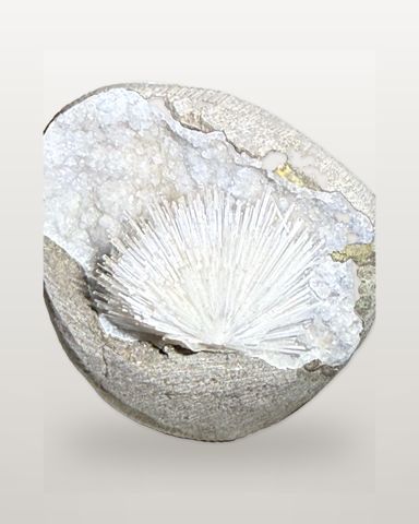 Scolecite