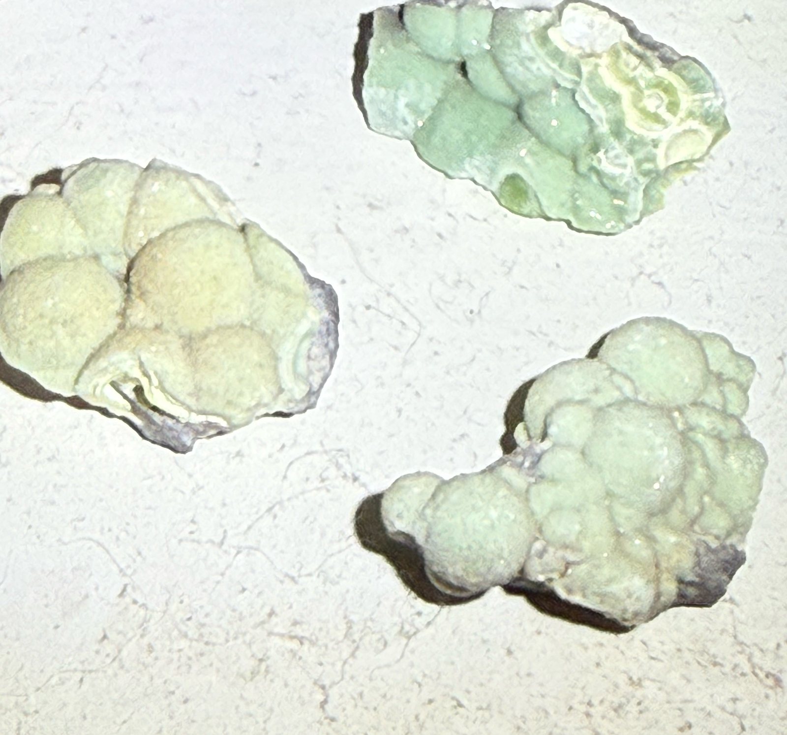 Green botryoidal wavellite from Arkansas